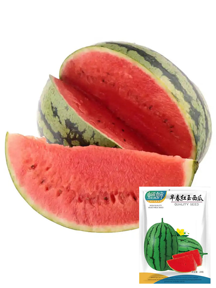 Zaochun Hongyu Watermelons