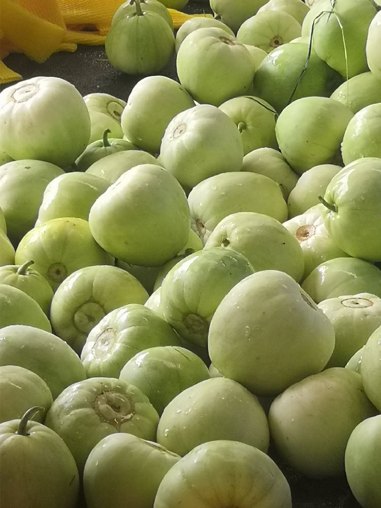 Japanese Sweet Treasure Melons