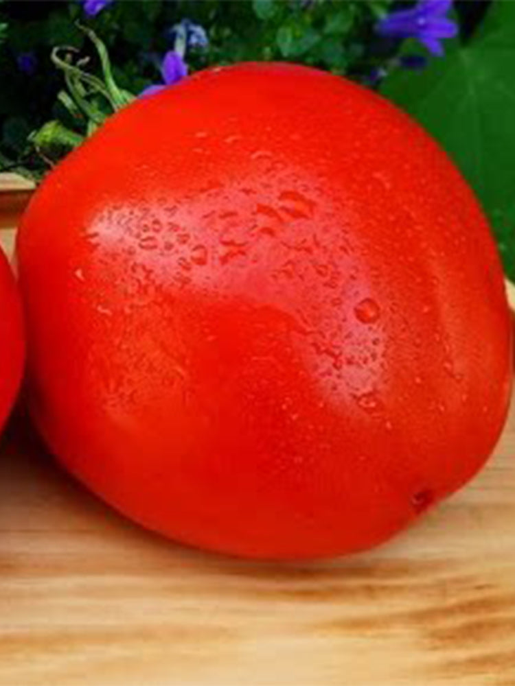 Lyuba's Red Heart Tomato