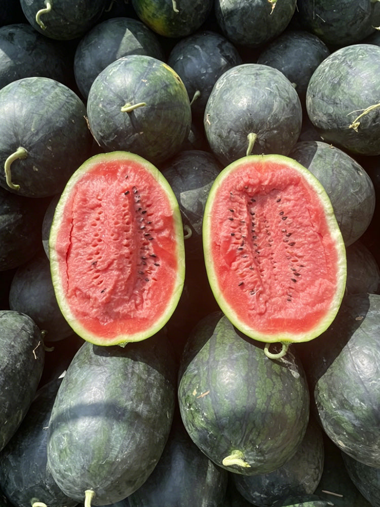 Black Beauty Watermelon
