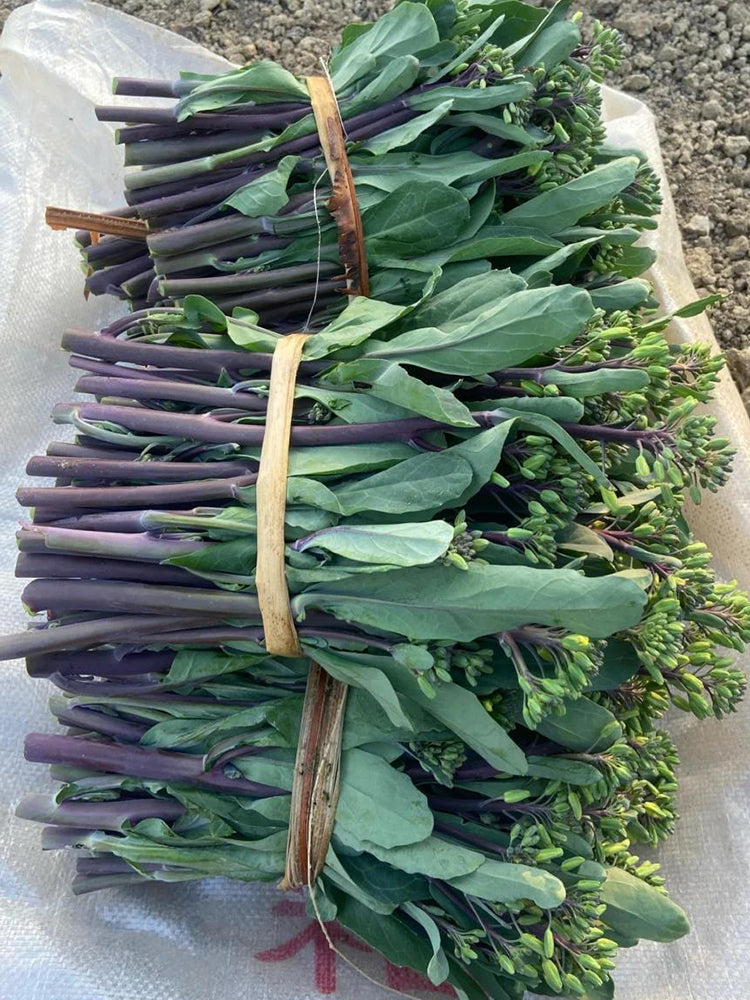 Curly-Leaf Red-Stem Chinese Kale