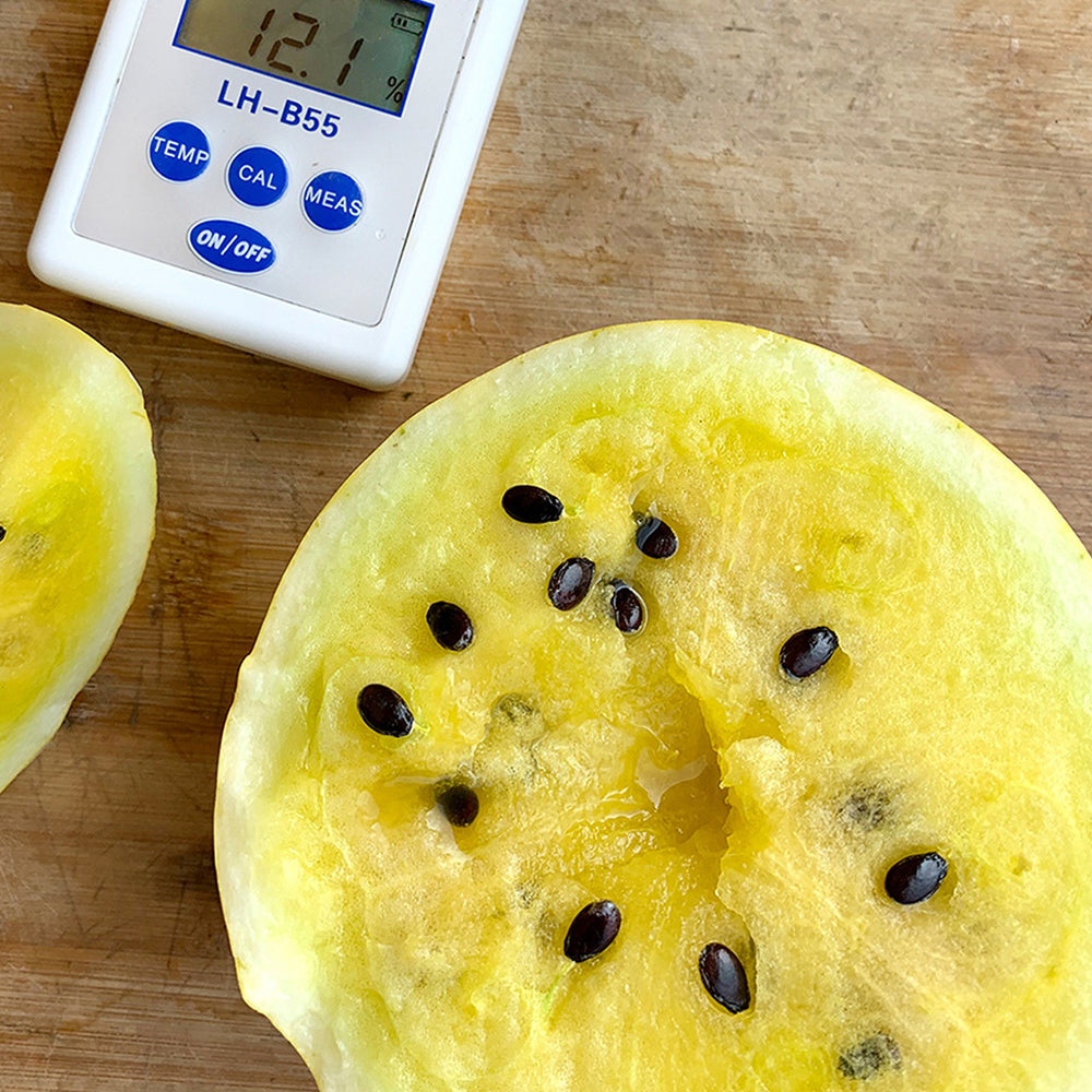 5 Bags (20 Seeds / Bag) of 'Golden Baby' Watermelon Seeds