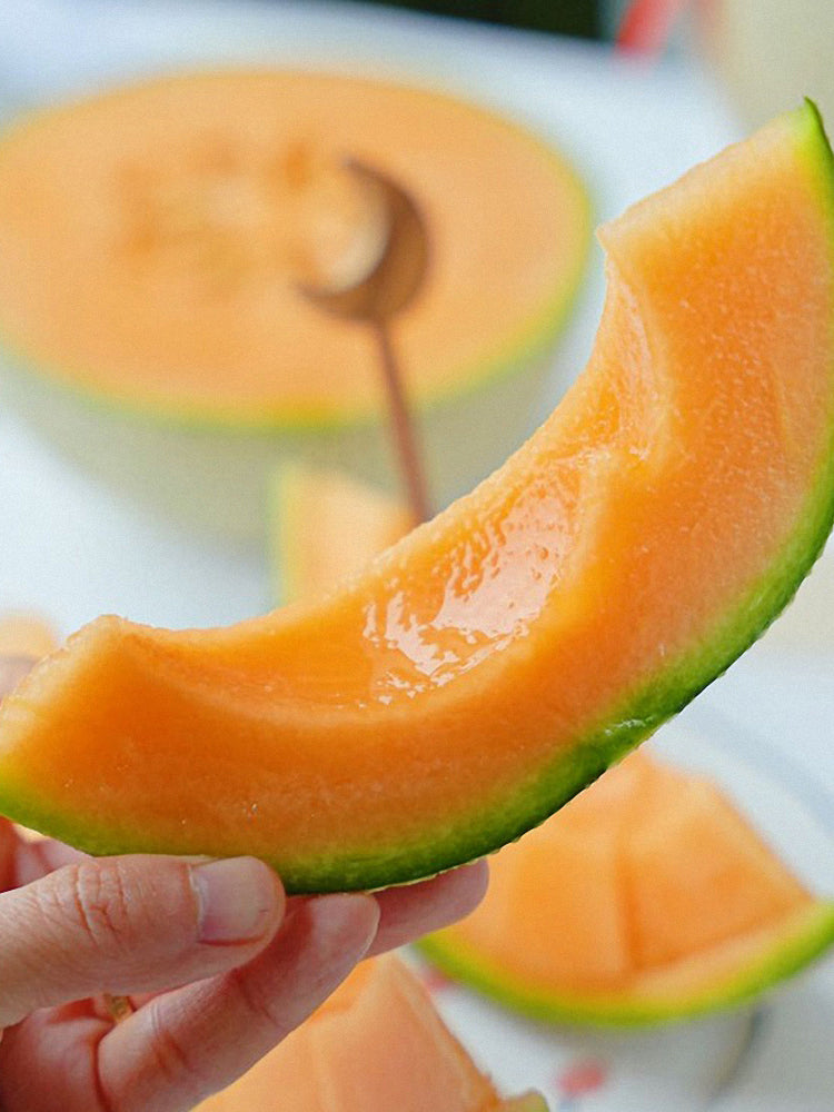 Maiour Melon Hybird F1 (Cucumis melo var. reticulatus)