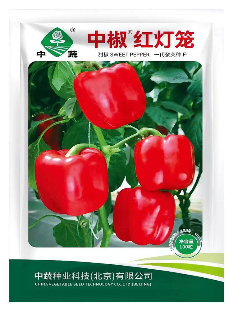 Red Lantern Sweet Pepper