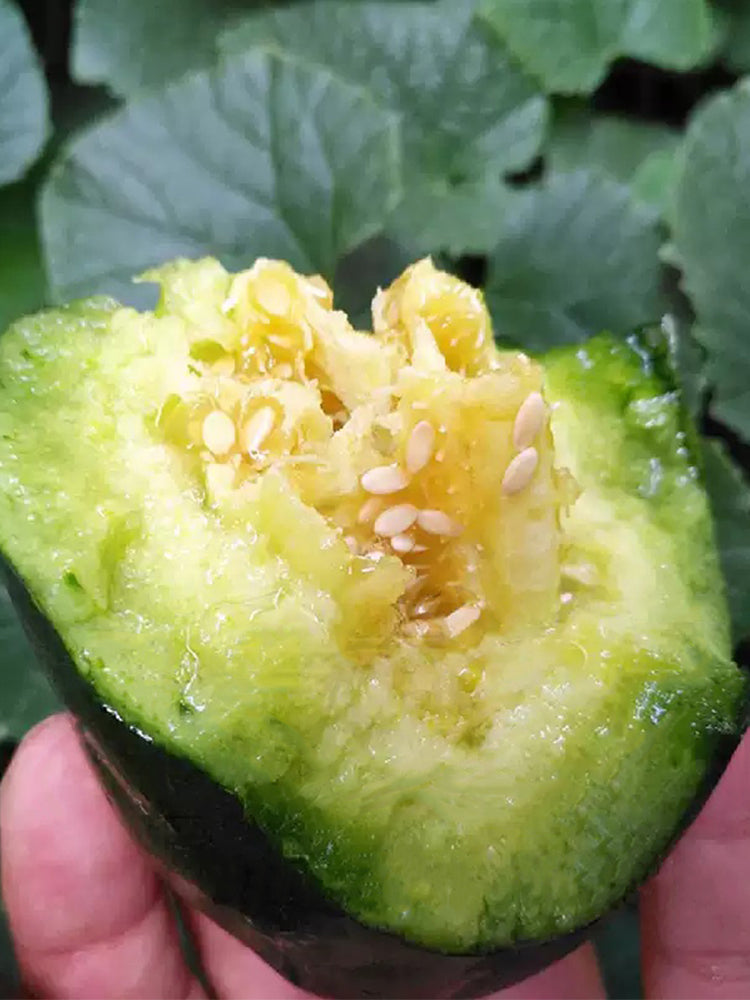 Flying No.8' Sweet Melon Hybrid F1