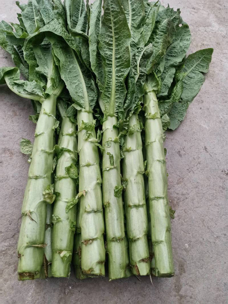 'Bimei' Stem Lettuce