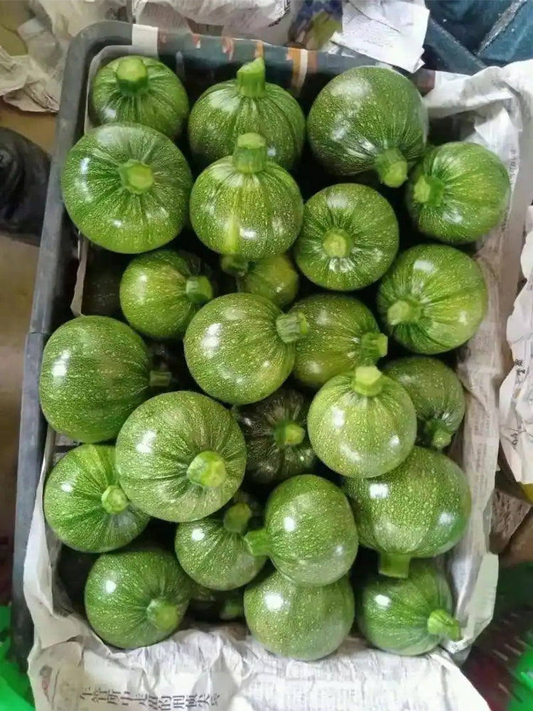 ‘Yichuanling’ Pumpkin