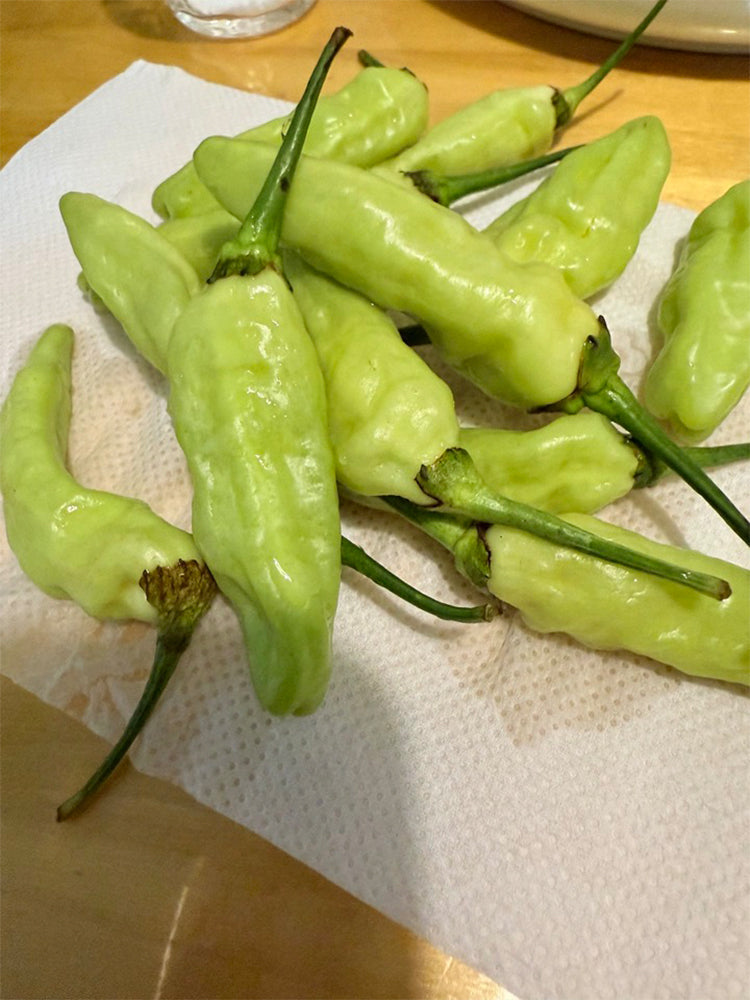 White Wrinkled Xiaomila Chili Peppers
