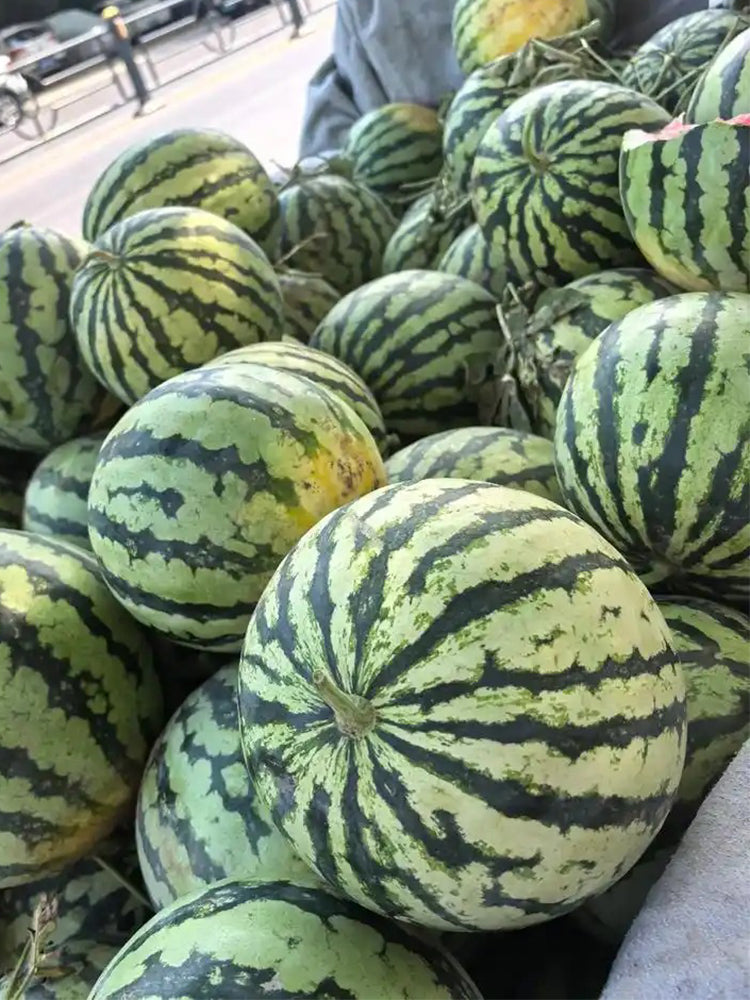 Xiumei Meidu Watermelon
