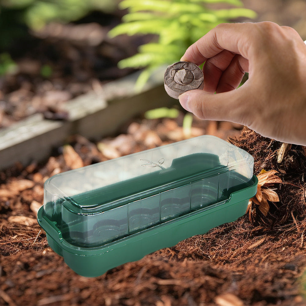 10-Cell (1.42'' Cell) Seedling Trays with Transparent Cover, Hydroponic Garden Grow Cultivating Box, Set of 10
