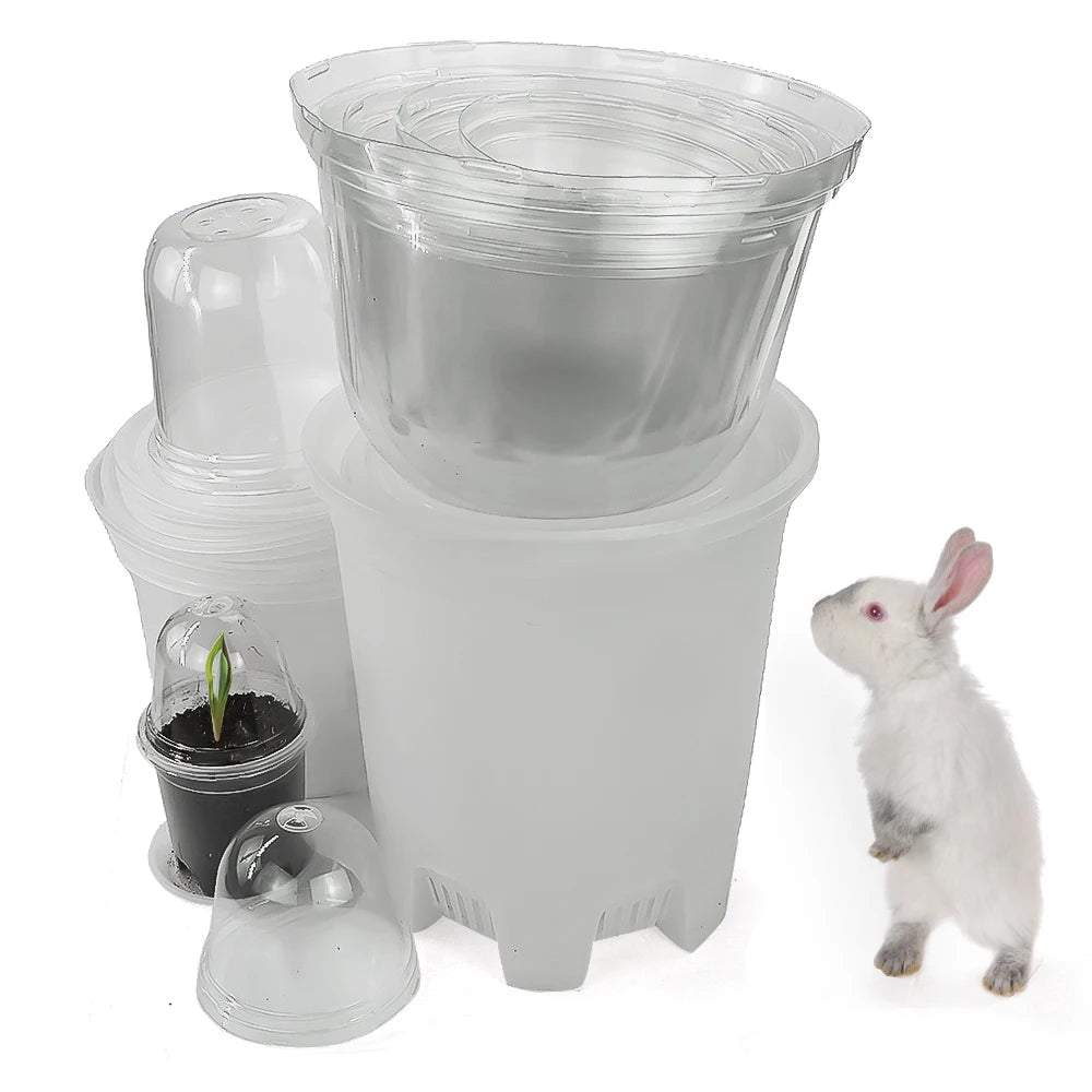 Clear Propagation Pot with Humidity Dome and Tray, Set of 10