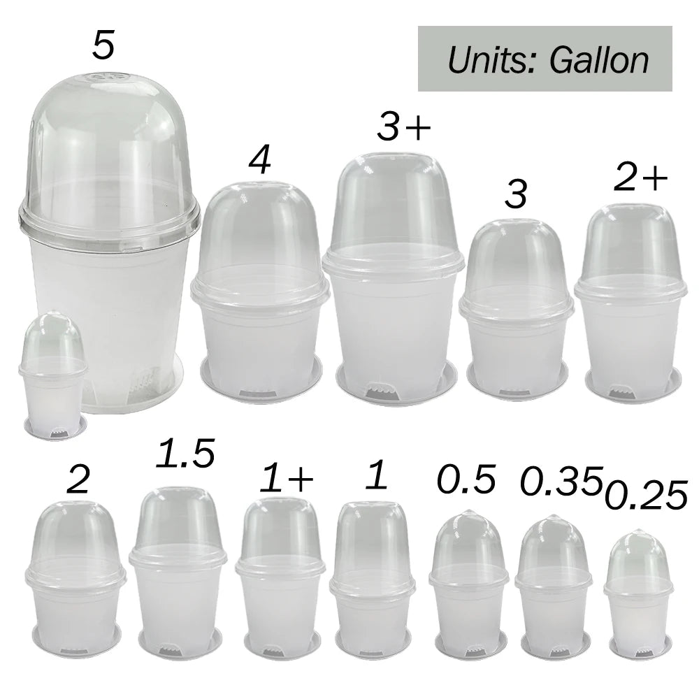 Clear Propagation Pot with Humidity Dome and Tray, Set of 10