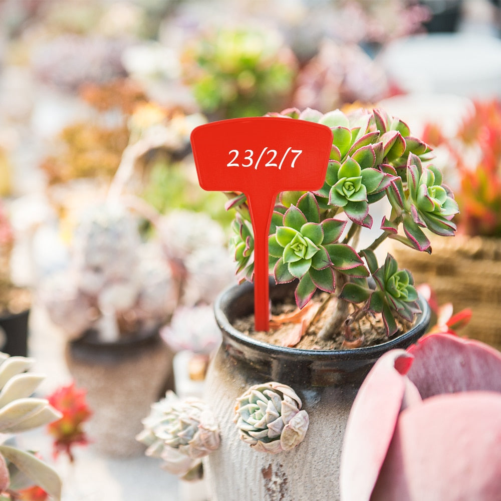 Extra Large and Thickened Tee Outdoor Plant Markers, Set of 16
