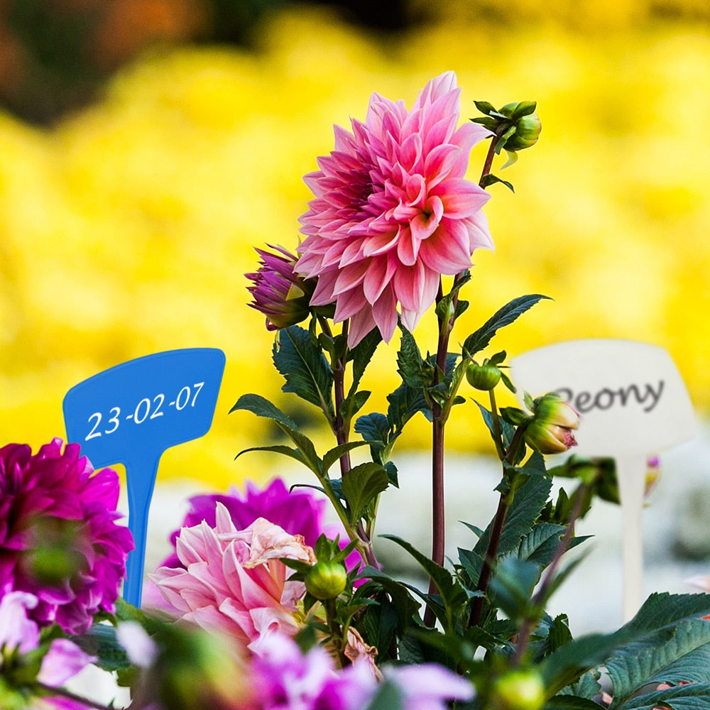 Extra Large and Thickened Tee Outdoor Plant Markers, Set of 16