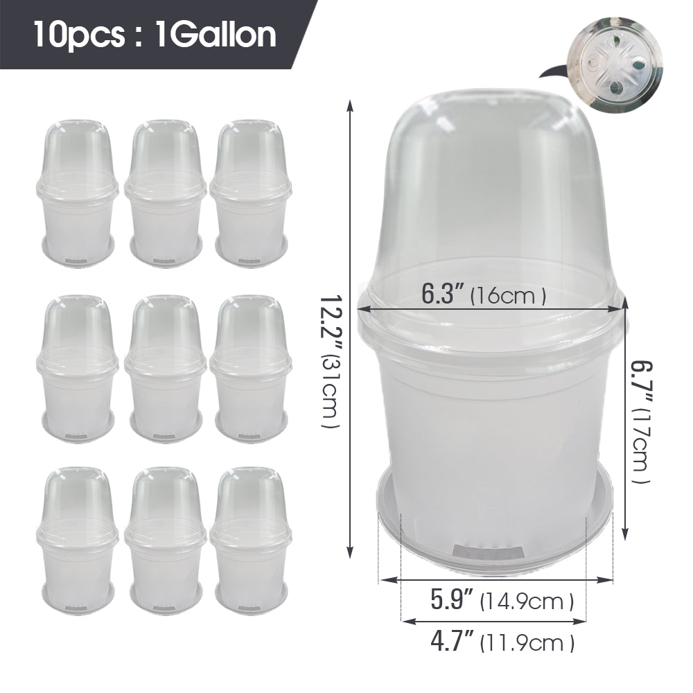 Clear Propagation Pot with Humidity Dome and Tray, Set of 10