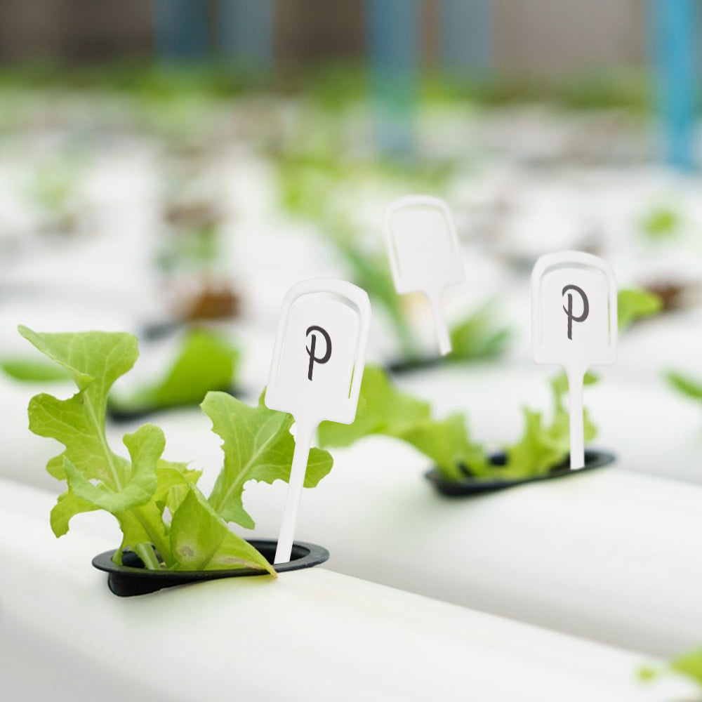 13.2x5.6cm (5.2''x2.2'') White Tee Plastic Plant Labels, Set of 20