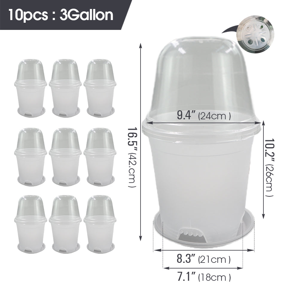 Clear Propagation Pot with Humidity Dome and Tray, Set of 10