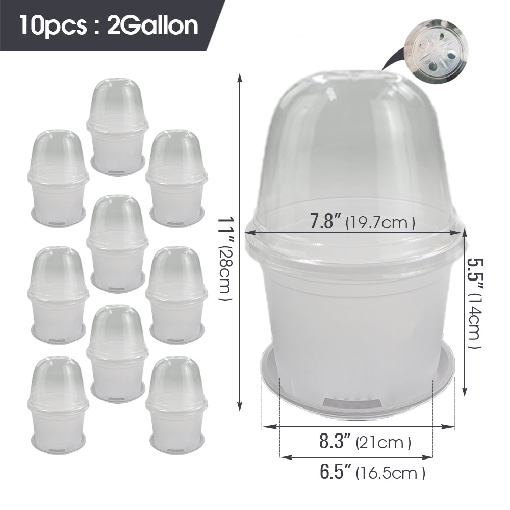 Clear Propagation Pot with Humidity Dome and Tray, Set of 10