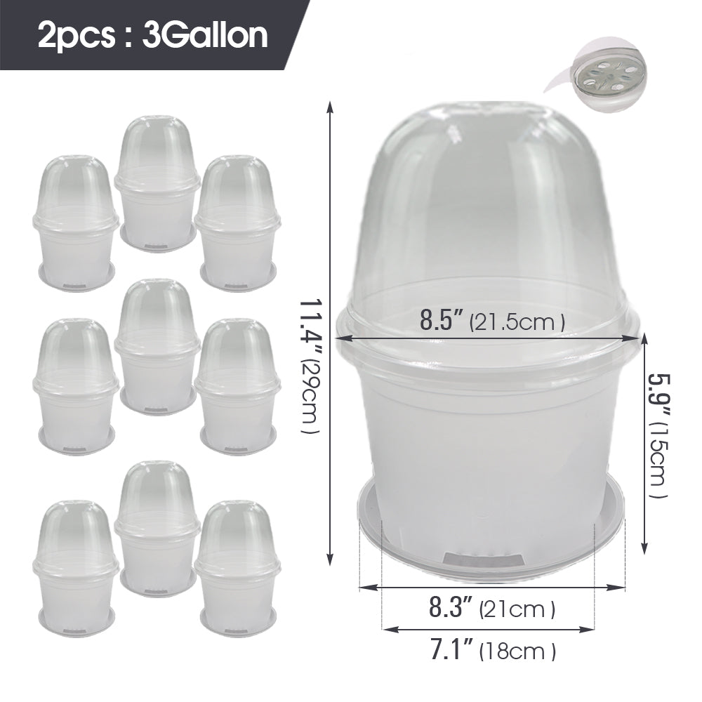Clear Propagation Pot with Humidity Dome and Tray, Set of 10