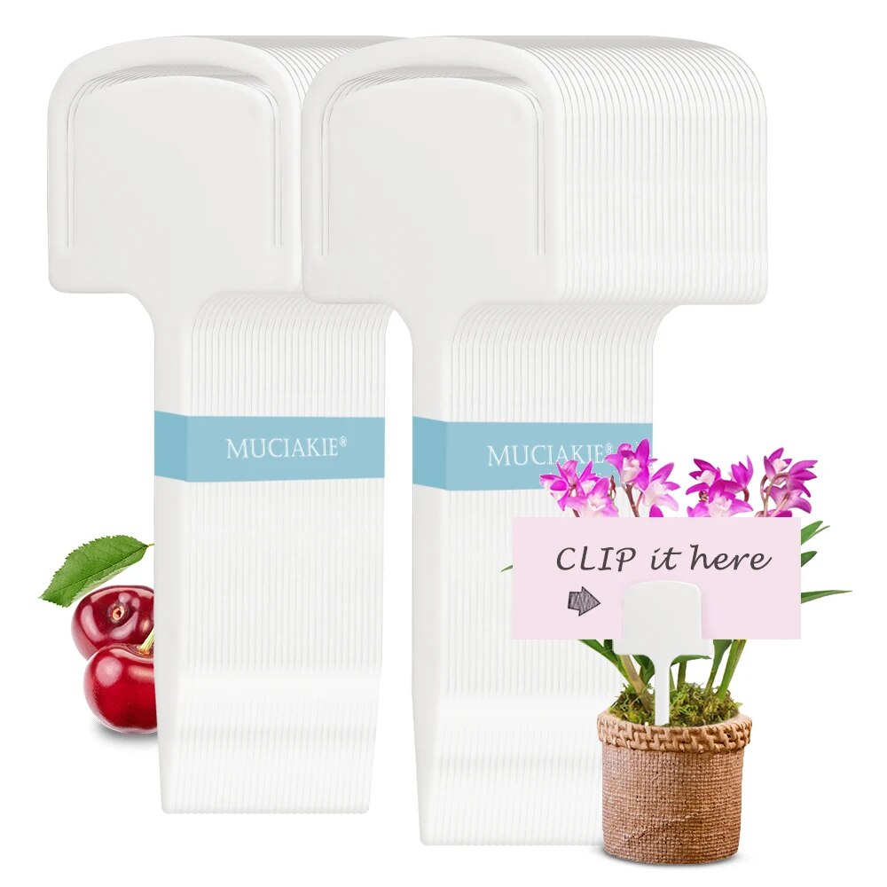 13.2x5.6cm (5.2''x2.2'') White Tee Plastic Plant Labels, Set of 20