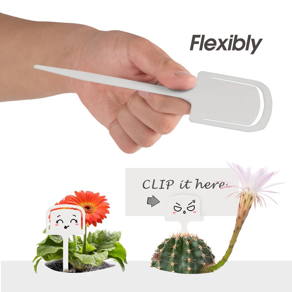 13.2x5.6cm (5.2''x2.2'') White Tee Plastic Plant Labels, Set of 20