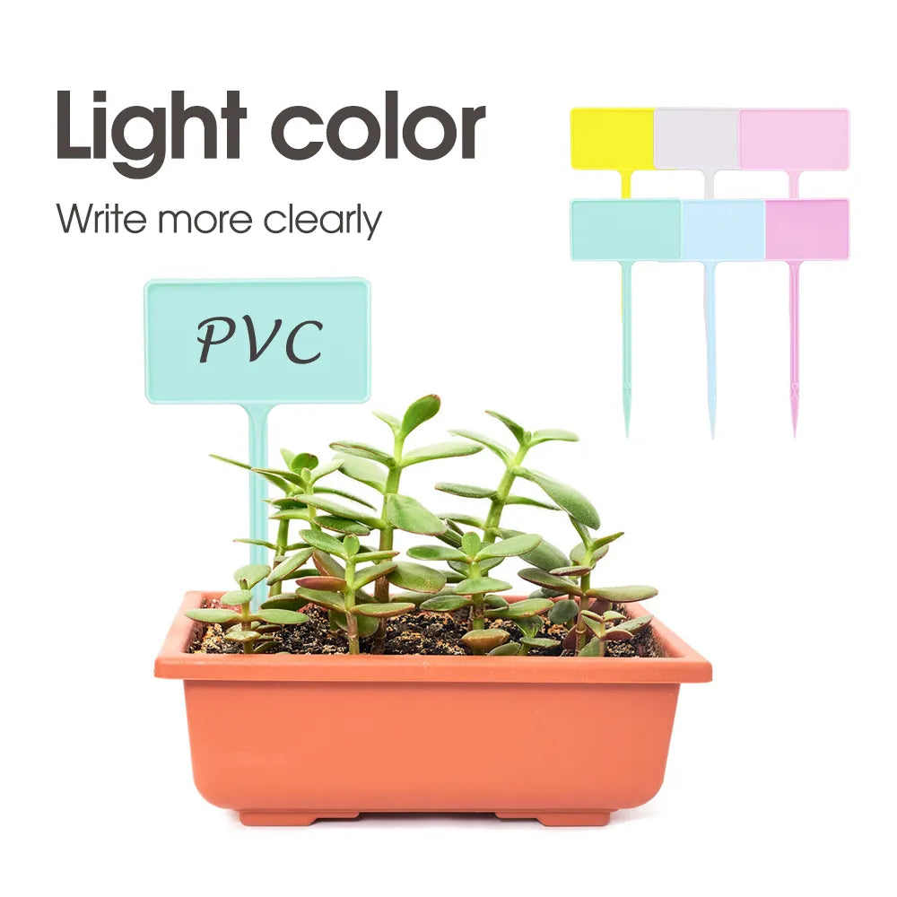 Standard Thickened Tee Plant Labels, Height 11.7cm, 14.7cm, 17.5cm, Set of 60