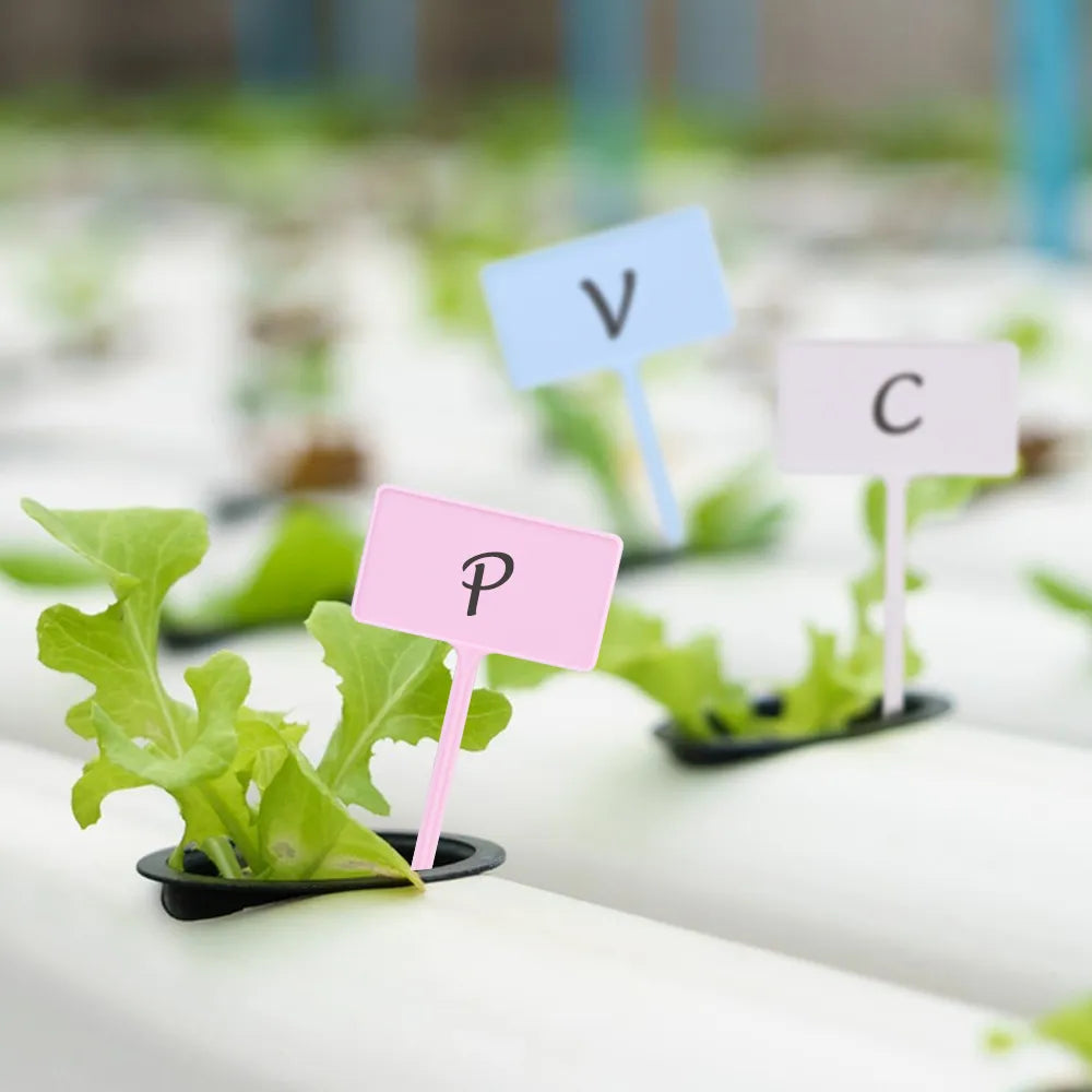Standard Thickened Tee Plant Labels, Height 11.7cm, 14.7cm, 17.5cm, Set of 60