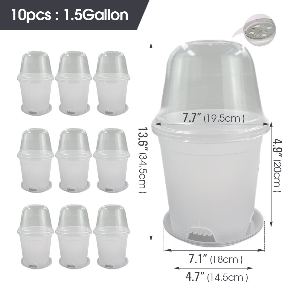 Clear Propagation Pot with Humidity Dome and Tray, Set of 10
