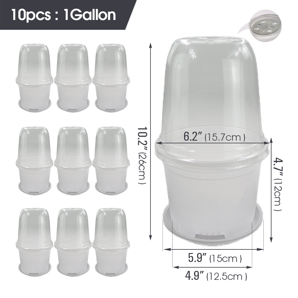 Clear Propagation Pot with Humidity Dome and Tray, Set of 10