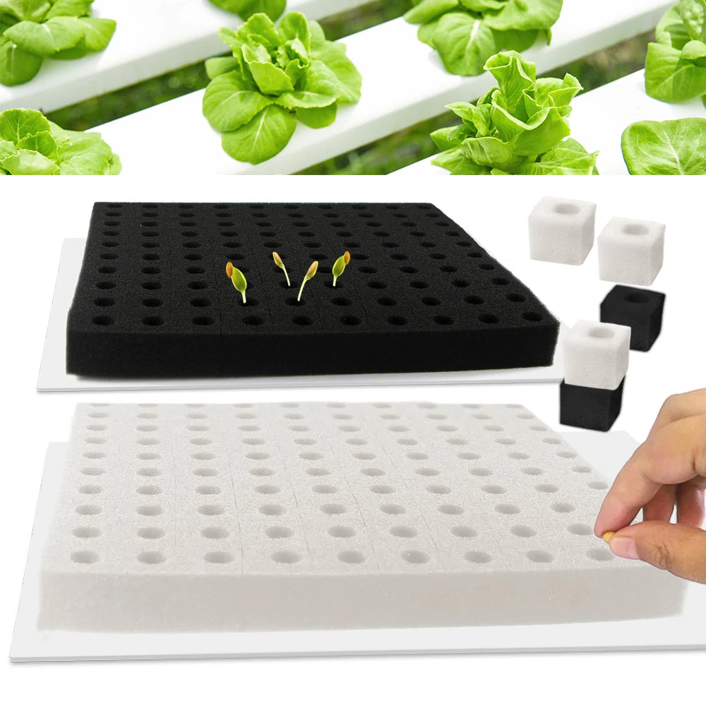 Hydroponic Sponge Planting Tool, Square Seedling Sponge, Greenhouse Soilless Cultivation for Small Bud Growth