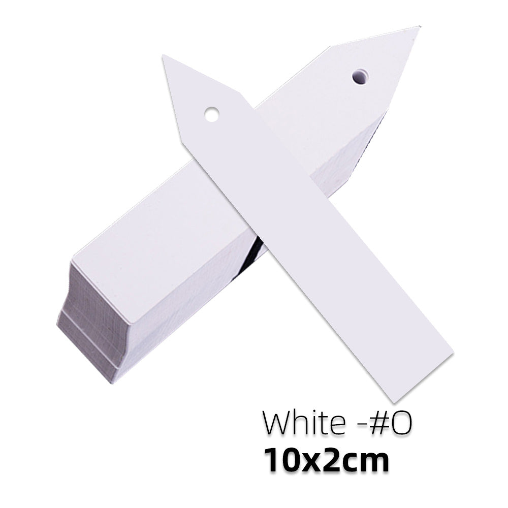 100PCS 10x2CM Plant Markers with Hole