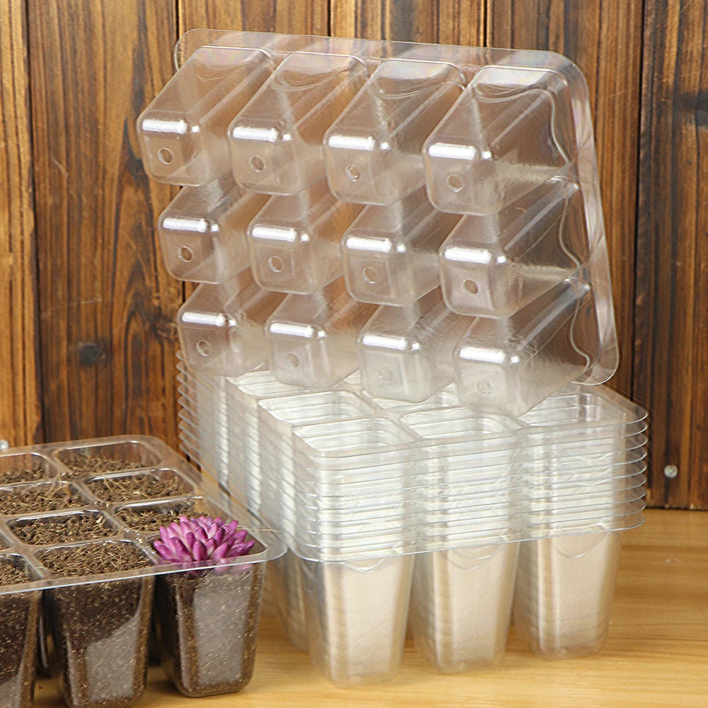 PET 12-Cell Transparent Seedling Starting Tray, Pack of 10
