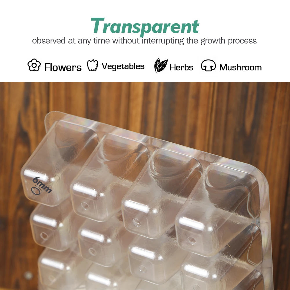 PET 12-Cell Transparent Seedling Starting Tray, Pack of 10