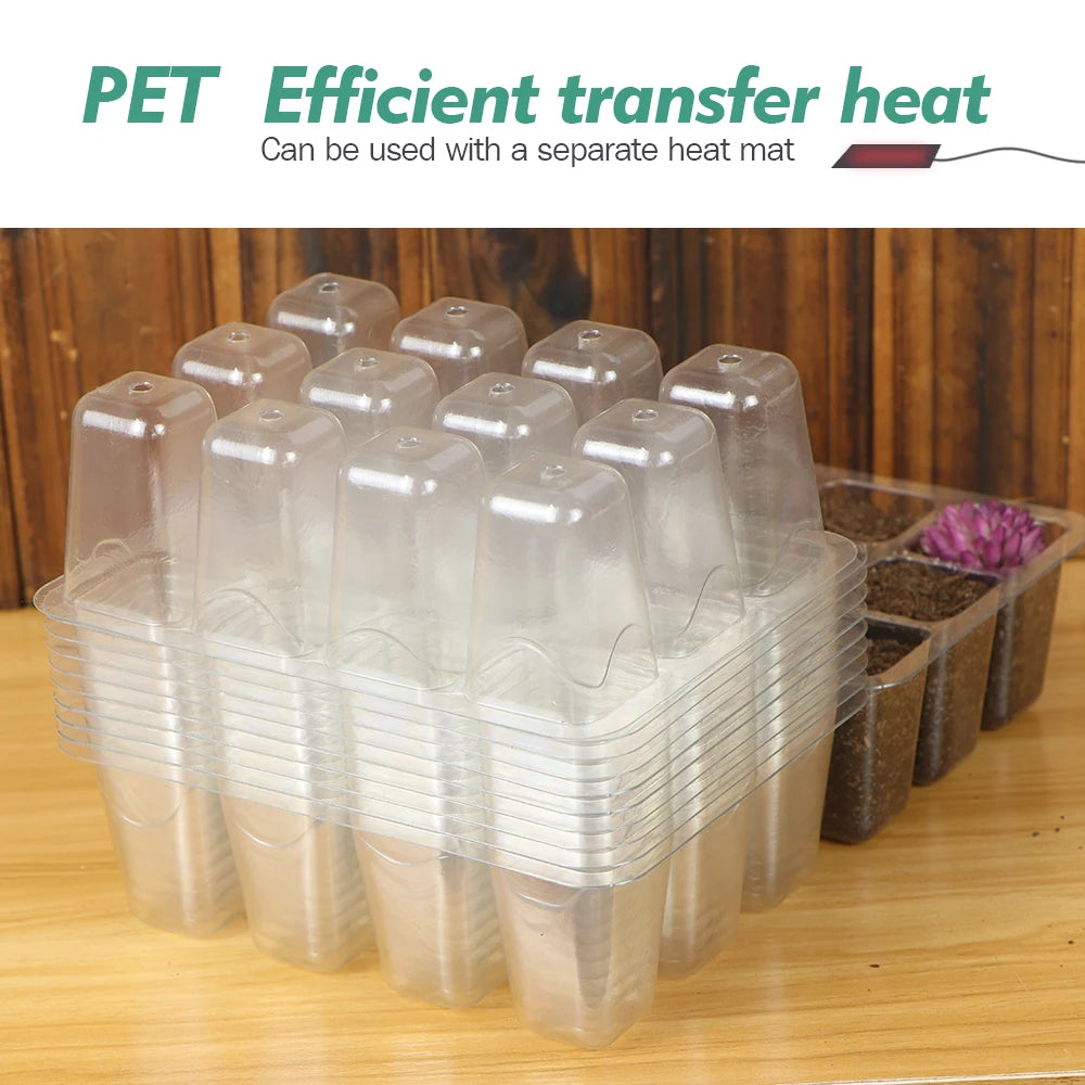 PET 12-Cell Transparent Seedling Starting Tray, Pack of 10