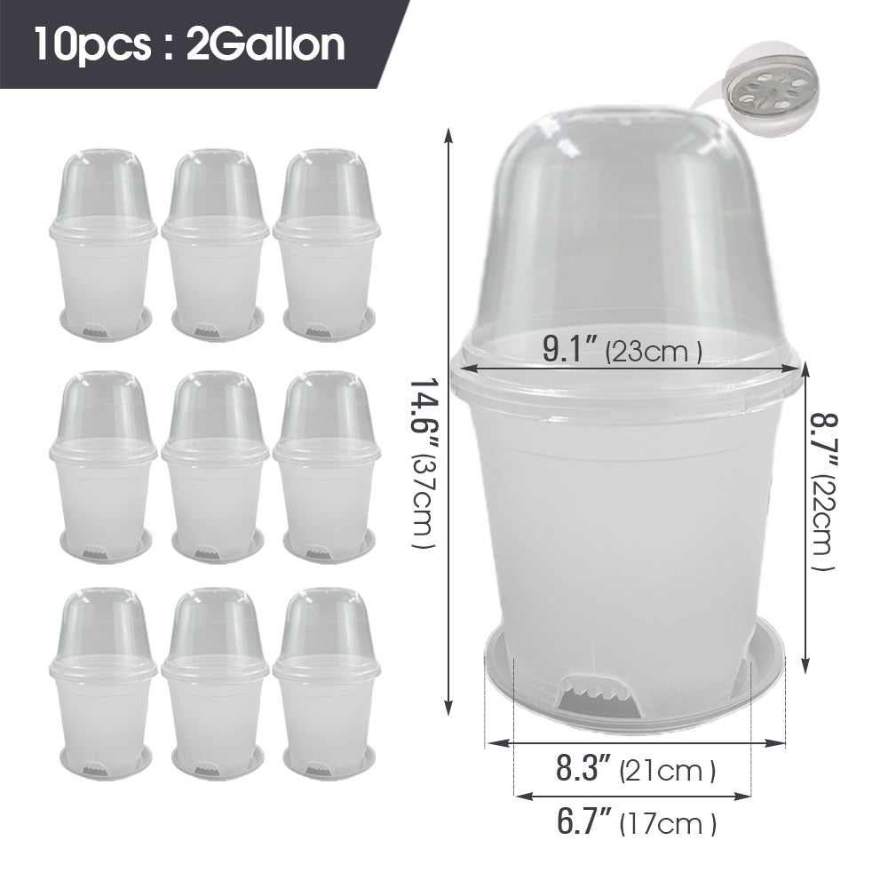 Clear Propagation Pot with Humidity Dome and Tray, Set of 10