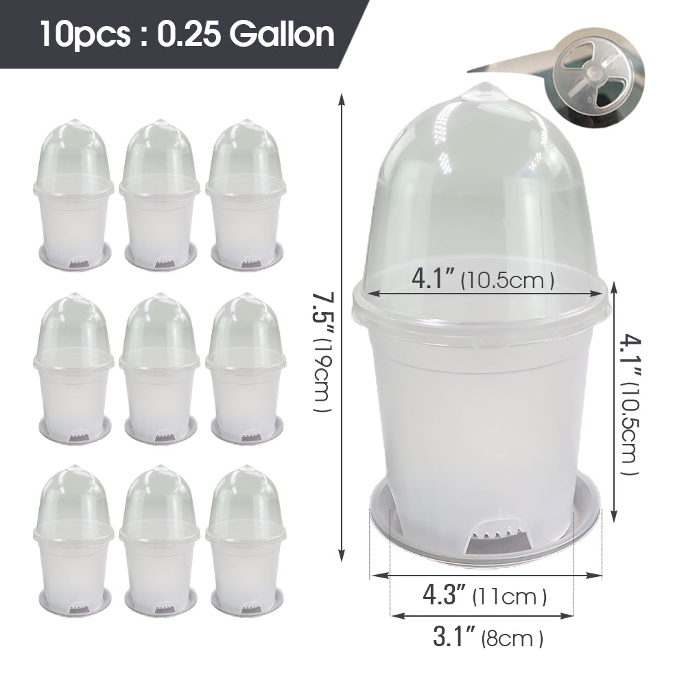 Clear Propagation Pot with Humidity Dome and Tray, Set of 10