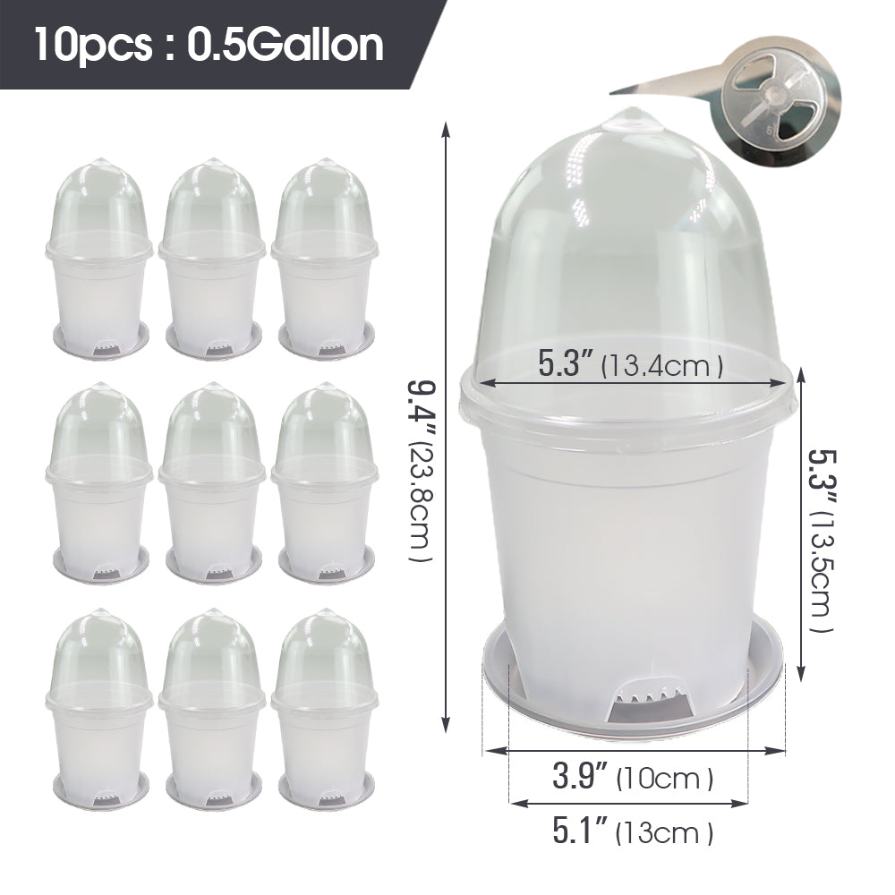Clear Propagation Pot with Humidity Dome and Tray, Set of 10