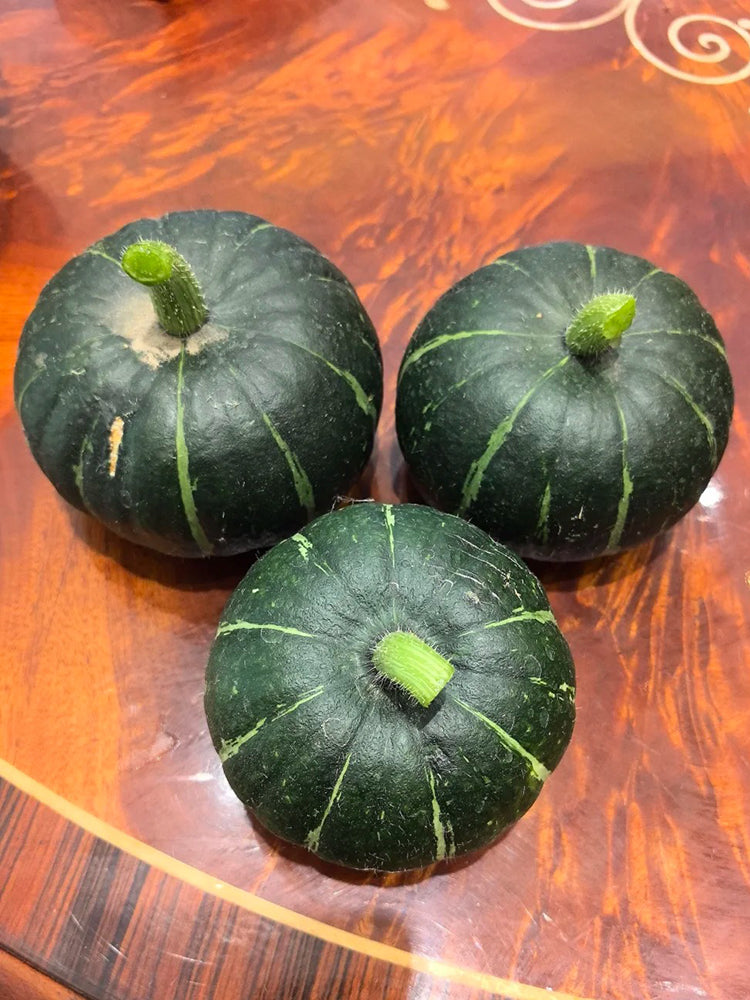 'Mo Yu Bei Bei' F1 Pumpkin