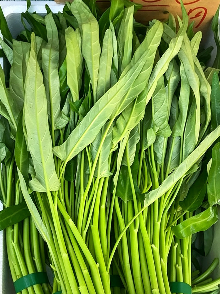 Jiemei New Green Willow Leaf Water Spinach