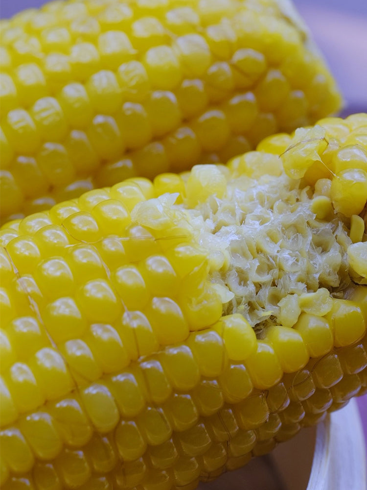 Golden Queen Waxy Corn