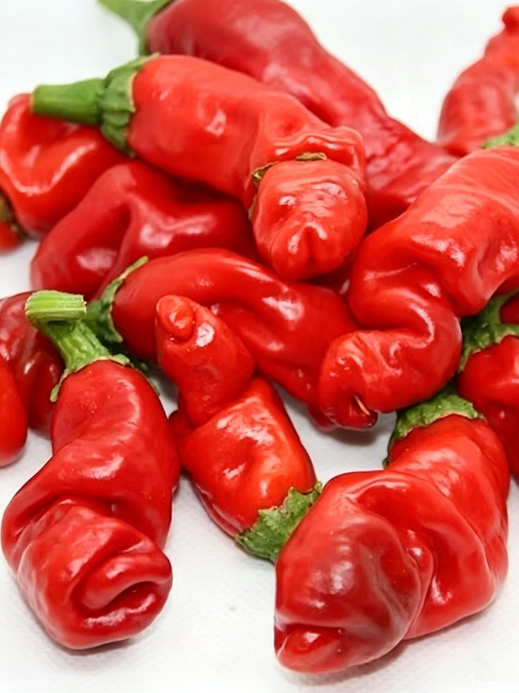 Red Peter Pepper