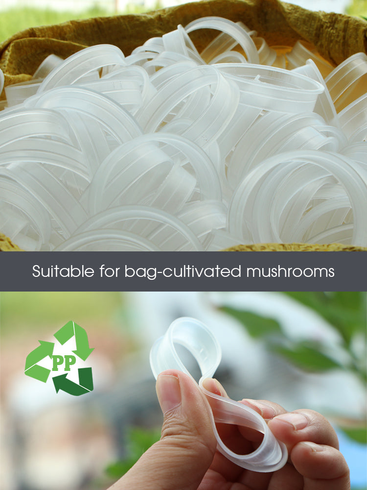 N270 Mushroom Fruiting Rings