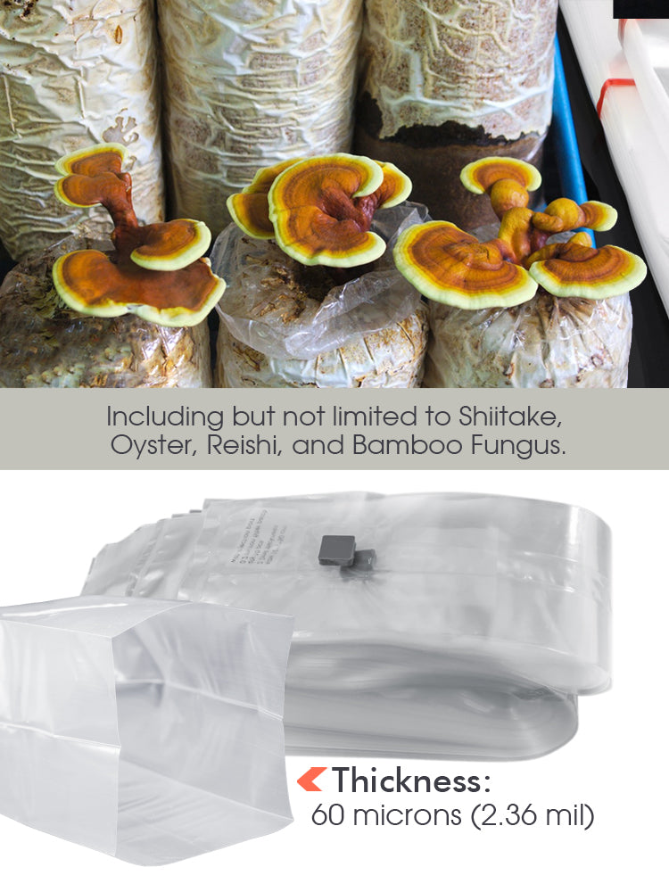 N269 Mushroom Cultivation Bags