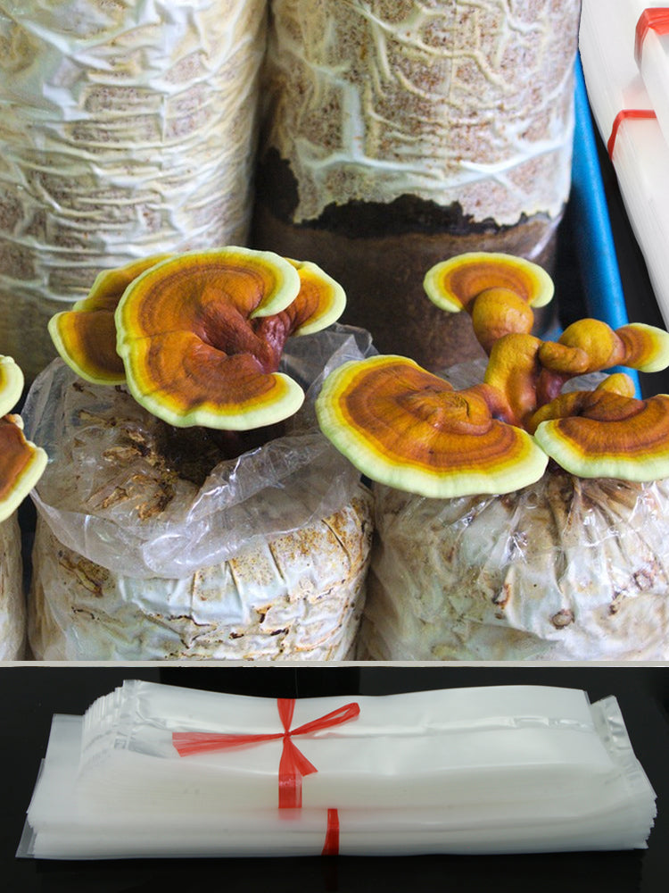 N265 Mushroom Grow Bags