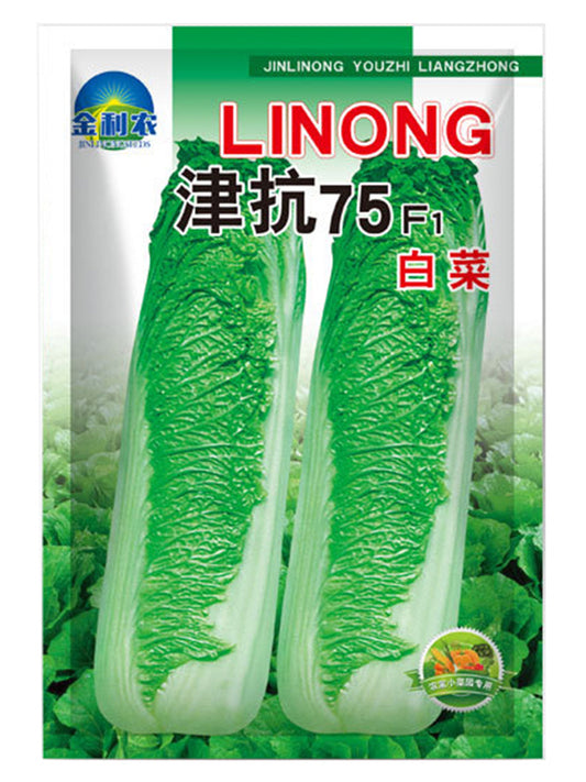 Jinkang 75 Chinese Cabbage