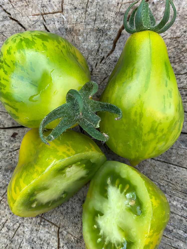 Mint Julep Tomato