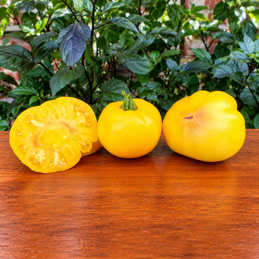 324 Minusinsk Mango Tomato