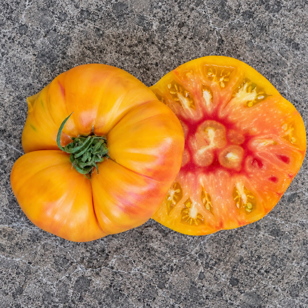 207 Stanley Tomato