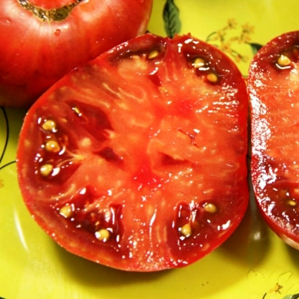 588 Boronia Tomato