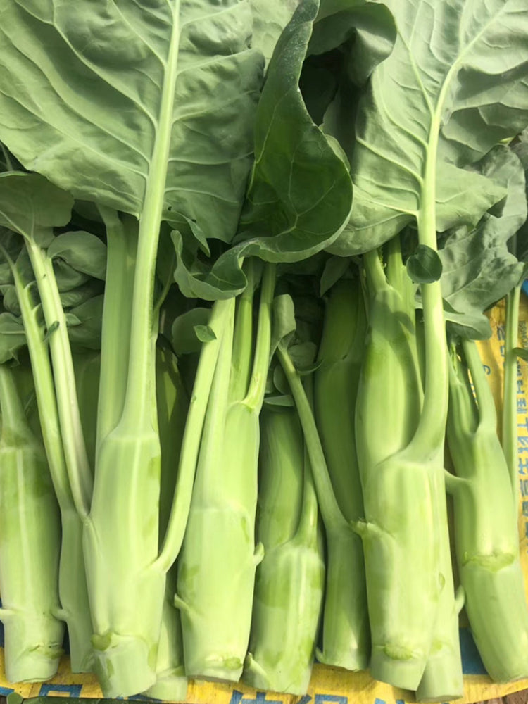 Dajinsun Chinese Kale